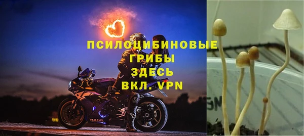 кокс Абаза