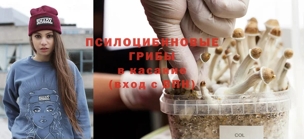 кокс Абаза