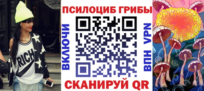 Галлюциногенные грибы Psilocybe  Советская Гавань 