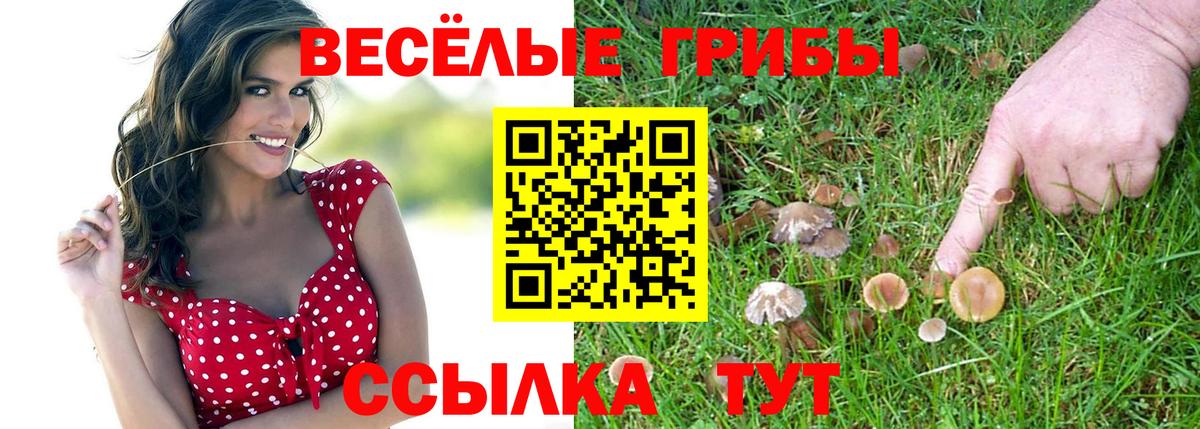 Псилоцибиновые грибы мицелий Советская Гавань
