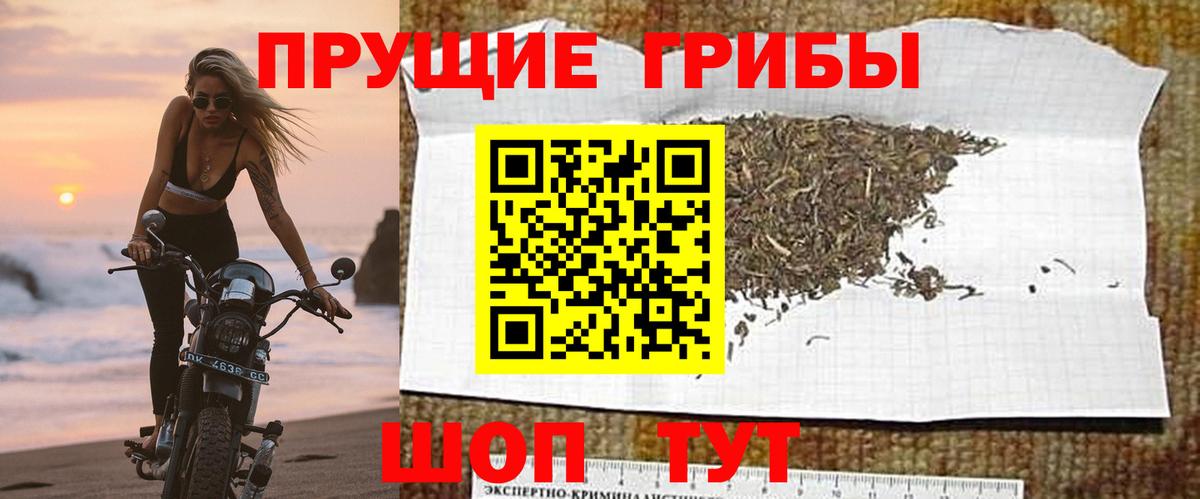 Советская Гавань  Галлюциногенные грибы MAGIC MUSHROOMS  Вход с VPN 
